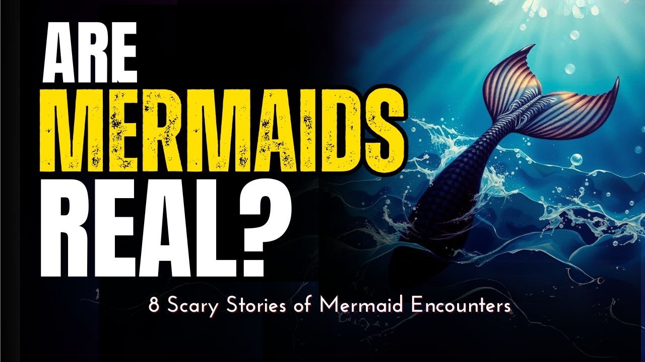 Are Mermaids Real | Mermaid Sightings