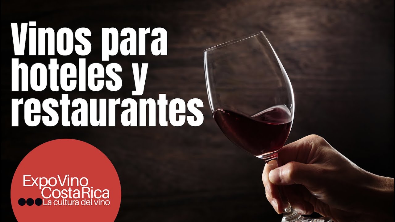 Vinos para hoteles y restaurantes I Andrea Maselli de Deep Costa Rica