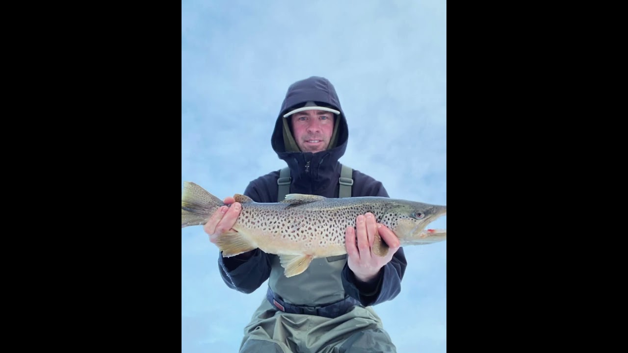 Bow River trout fishing Calgary Alberta