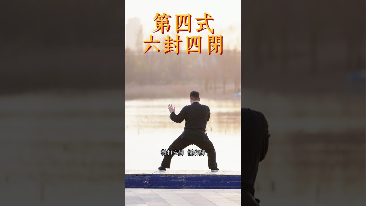 老架一路第一段（1~15）背面口令领练#太极拳 #taijiquan #虎啸太极陈二虎 #健康 #养生 #传统文化