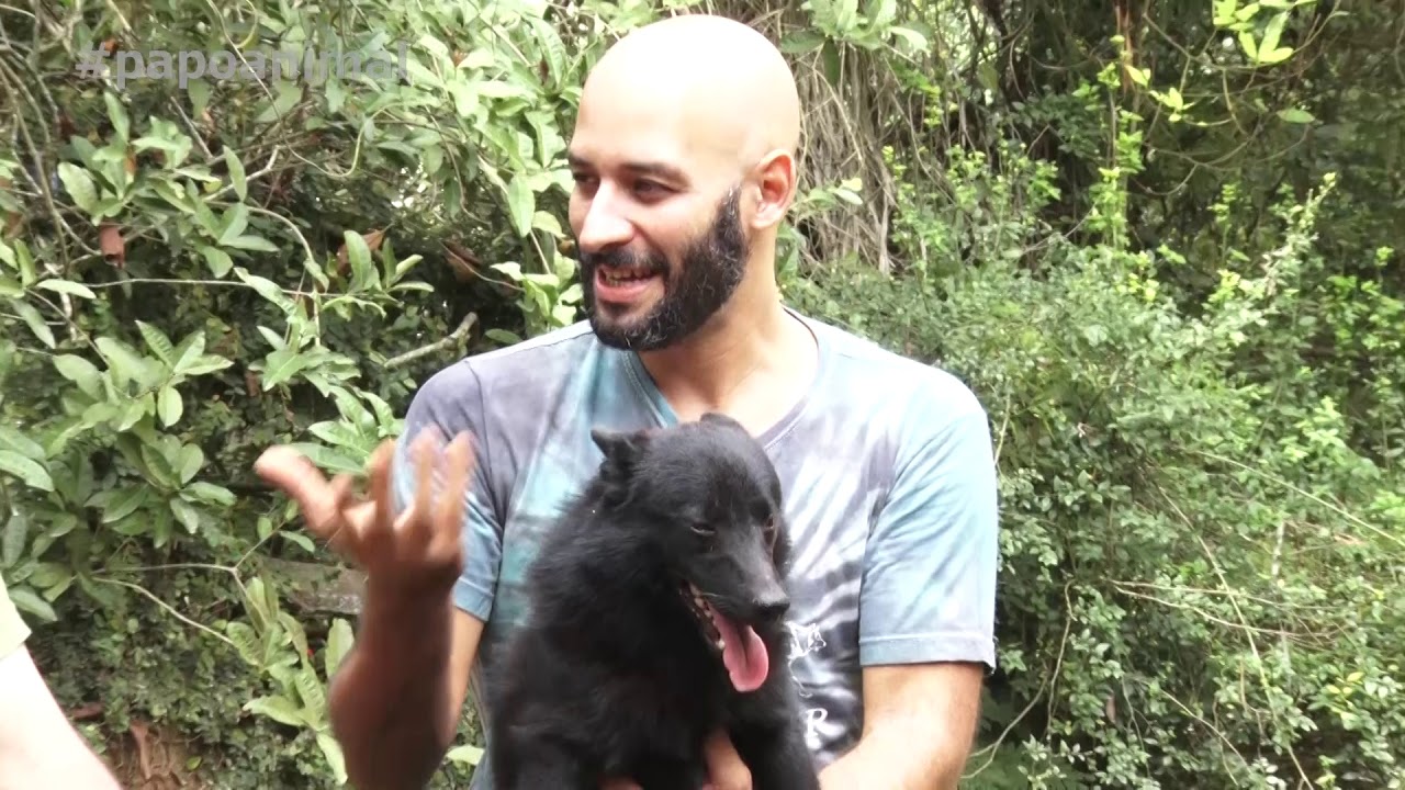 RAÇA SCHIPPERKE E EVENTO AMOR ANIMAL - PGM 26  BL 01