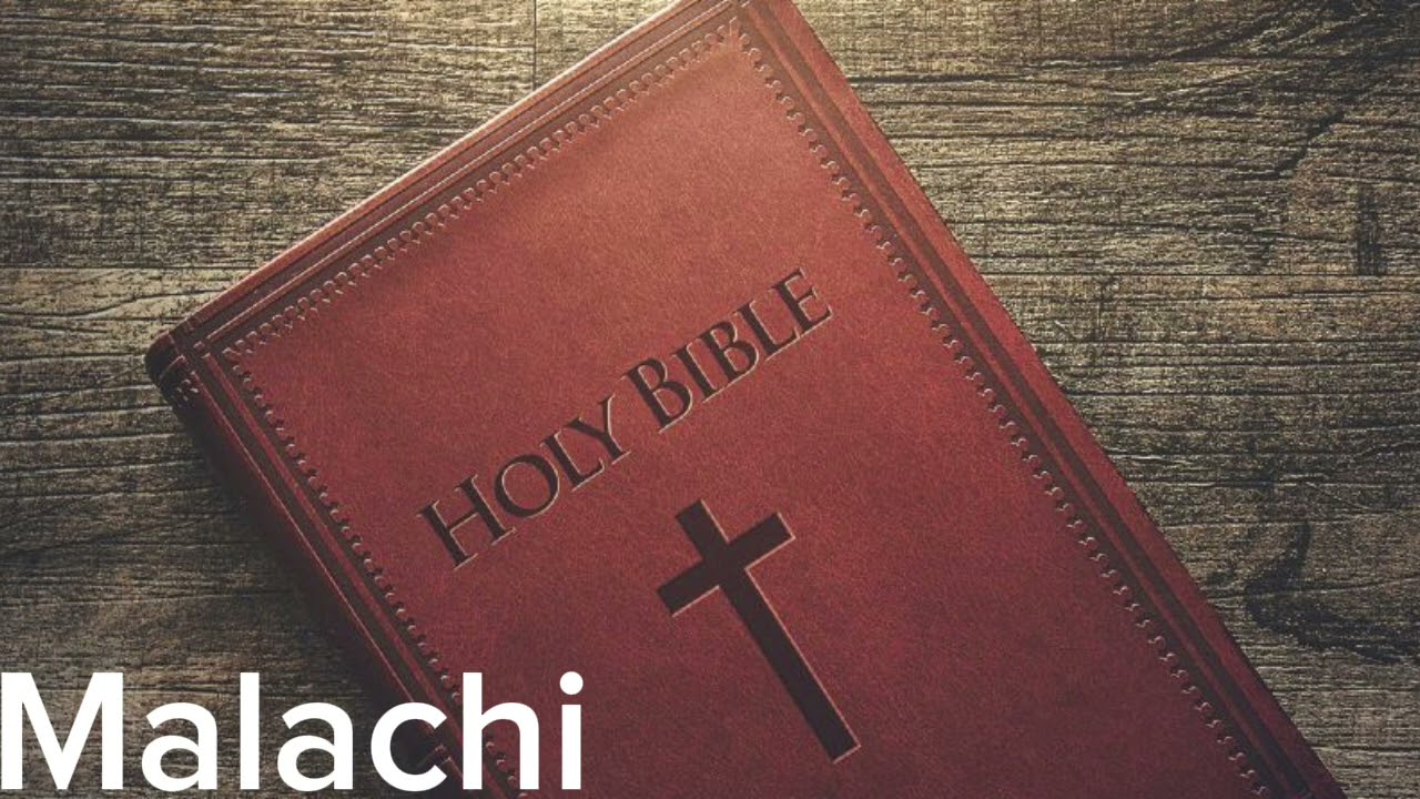 English Audio Bible - Malachi (COMPLETE) - New International Version (NIV)