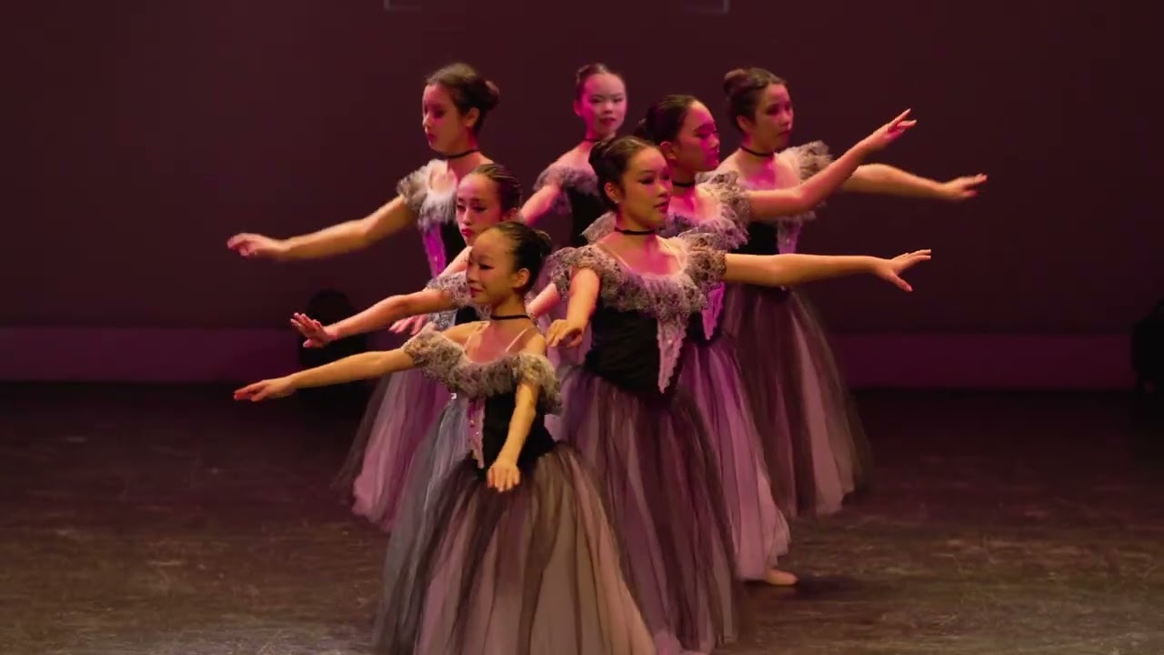 ballet dance performance 22