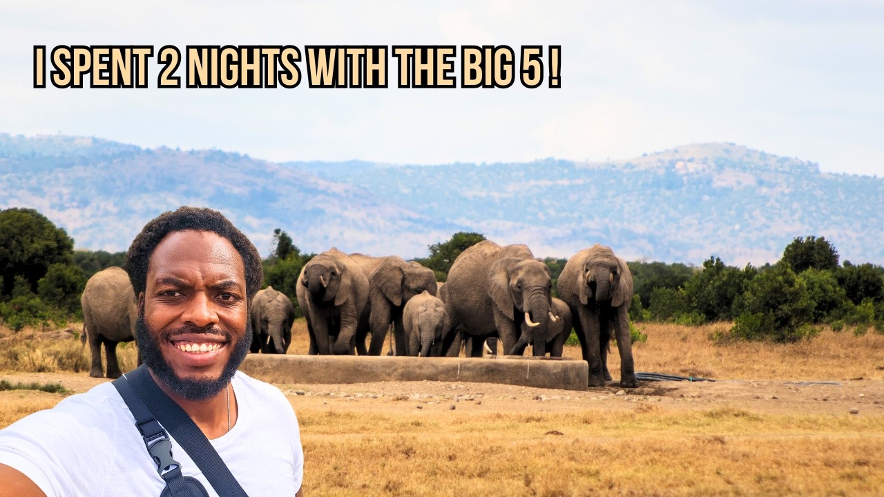 Travel With Me | The Place With Wildlife at your doorstep