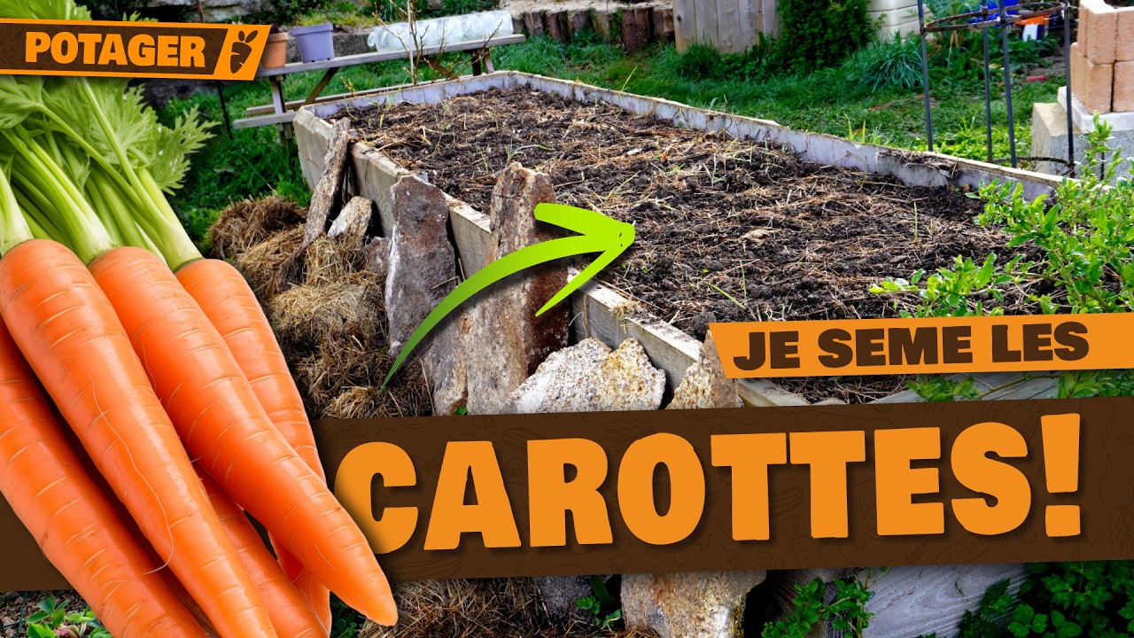 🥕 Potager FIN MARS : Je s&egrave;me mes CAROTTES + &eacute;pinards en bac ! 🌱 (Que faire cette semaine ?)