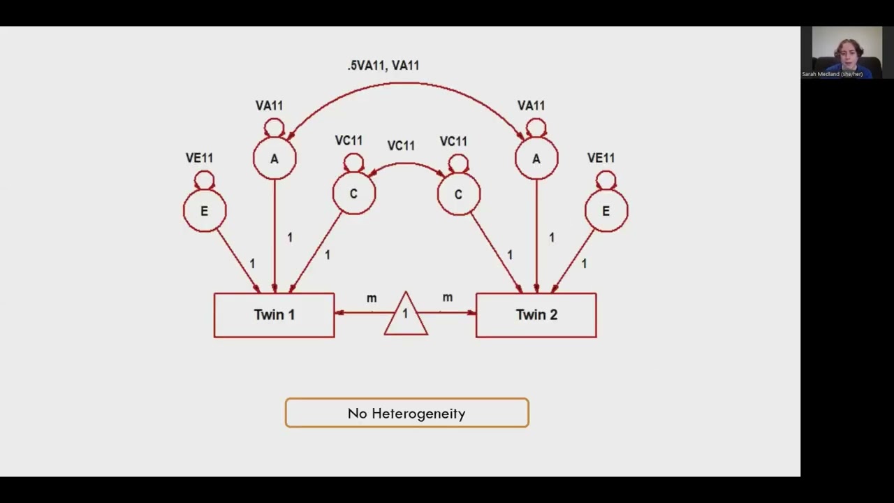 Heterogeneity of effects and interactions in twin models: Overview