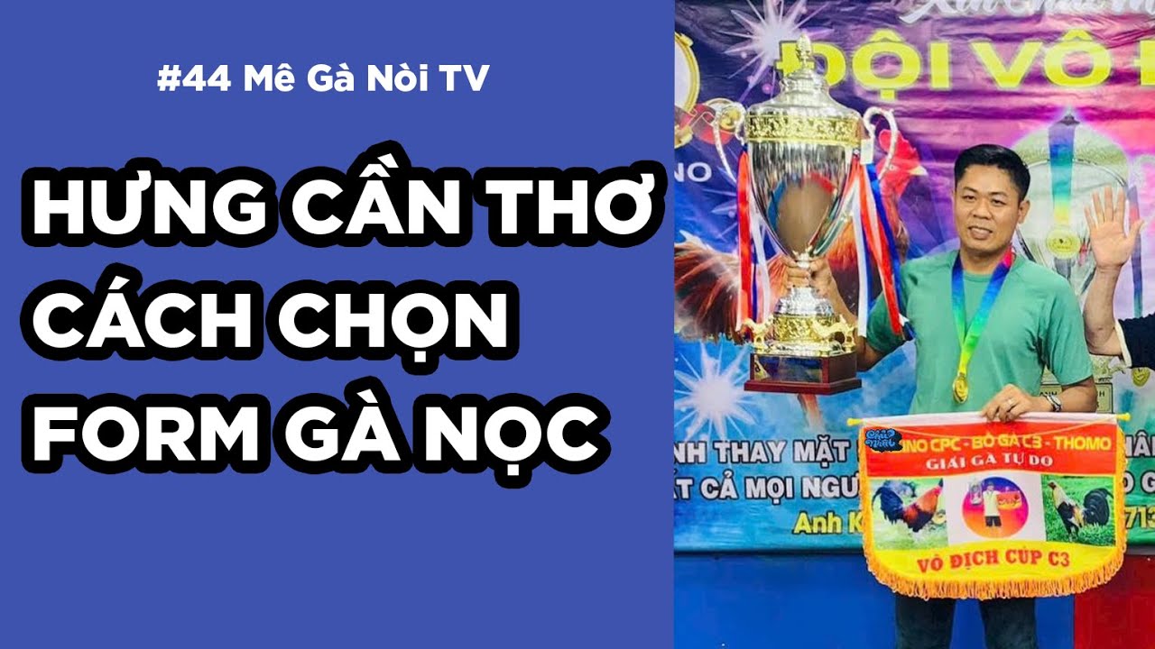 Mê Gà Nòi #44 : Hưng Cần Thơ chia sẻ cách chọn dáng tướng gà giống