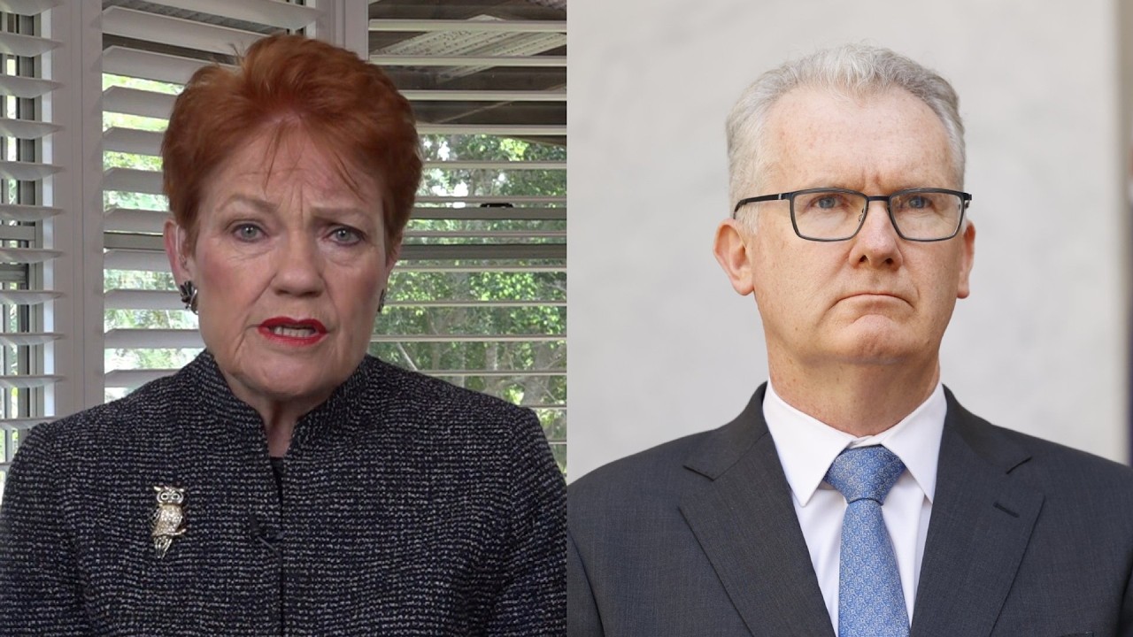 Hanson details immigration policy as Tony Burke postpones major NPC address