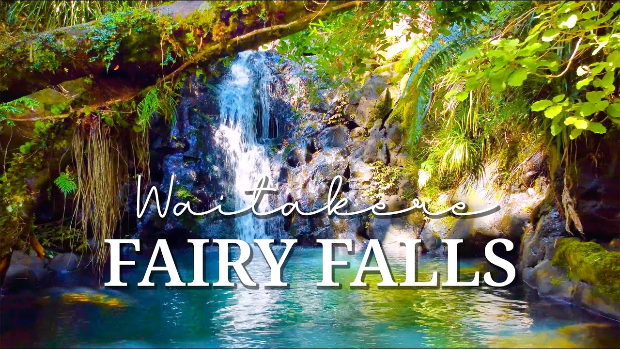 AUCKLAND - Hidden Gems Series 🏞️ Fairy Falls