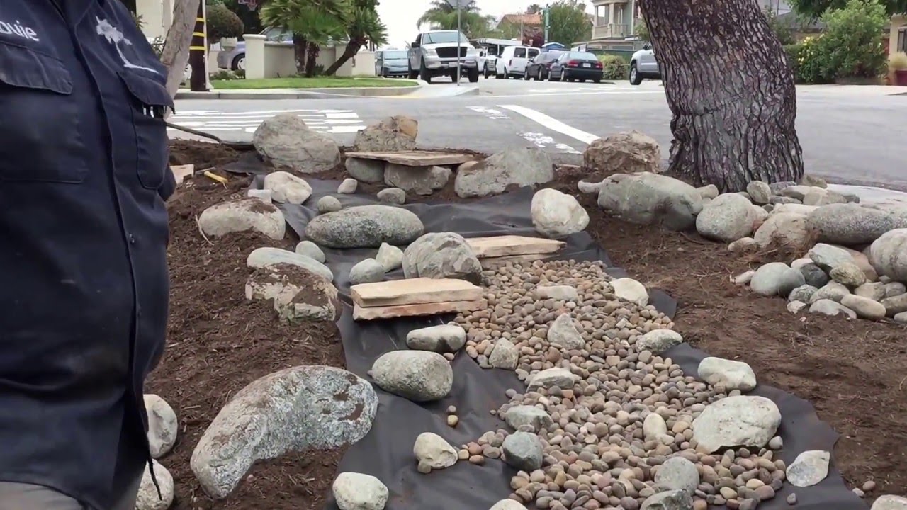 Dry Creek Design Concepts