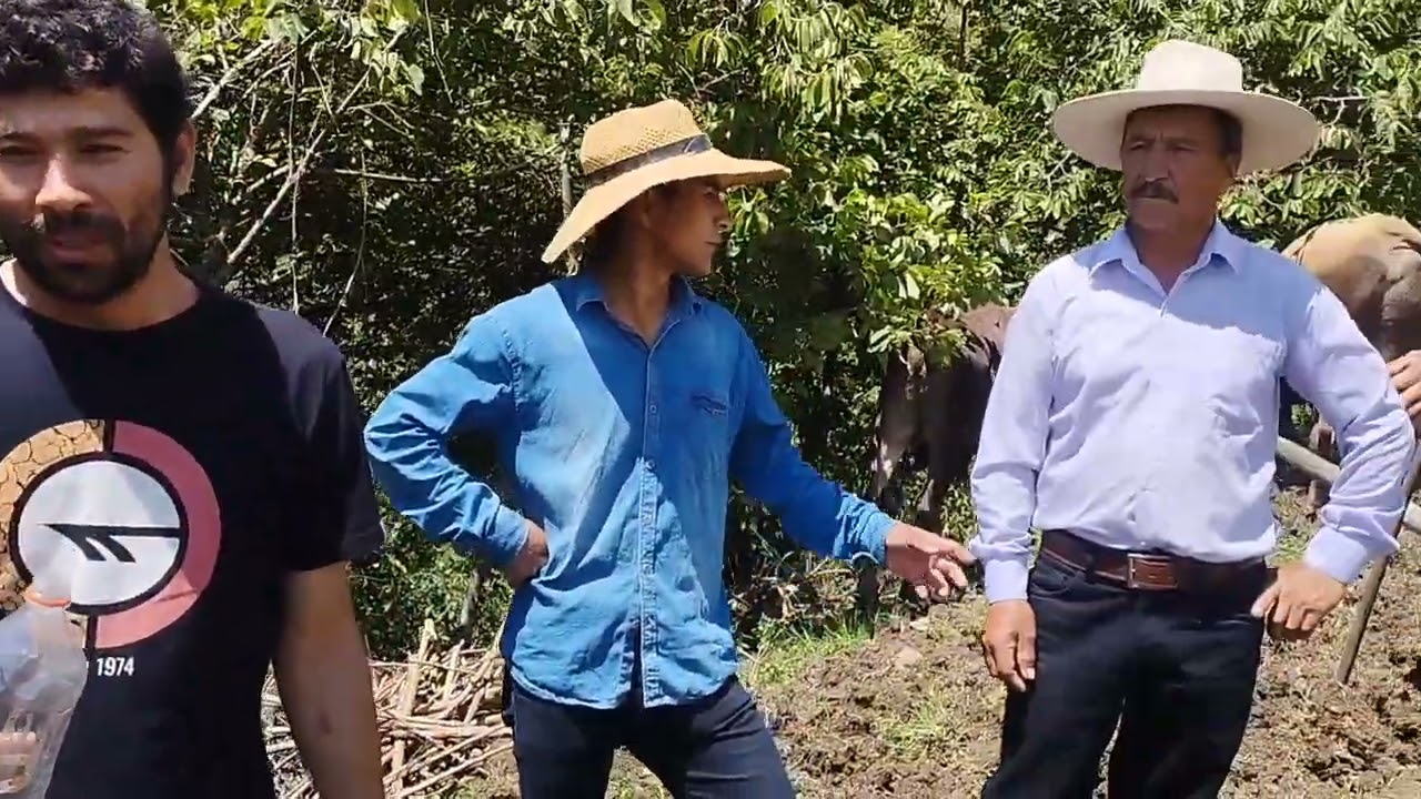 Hacienda tuñad, San Pablo, Cajamarca.