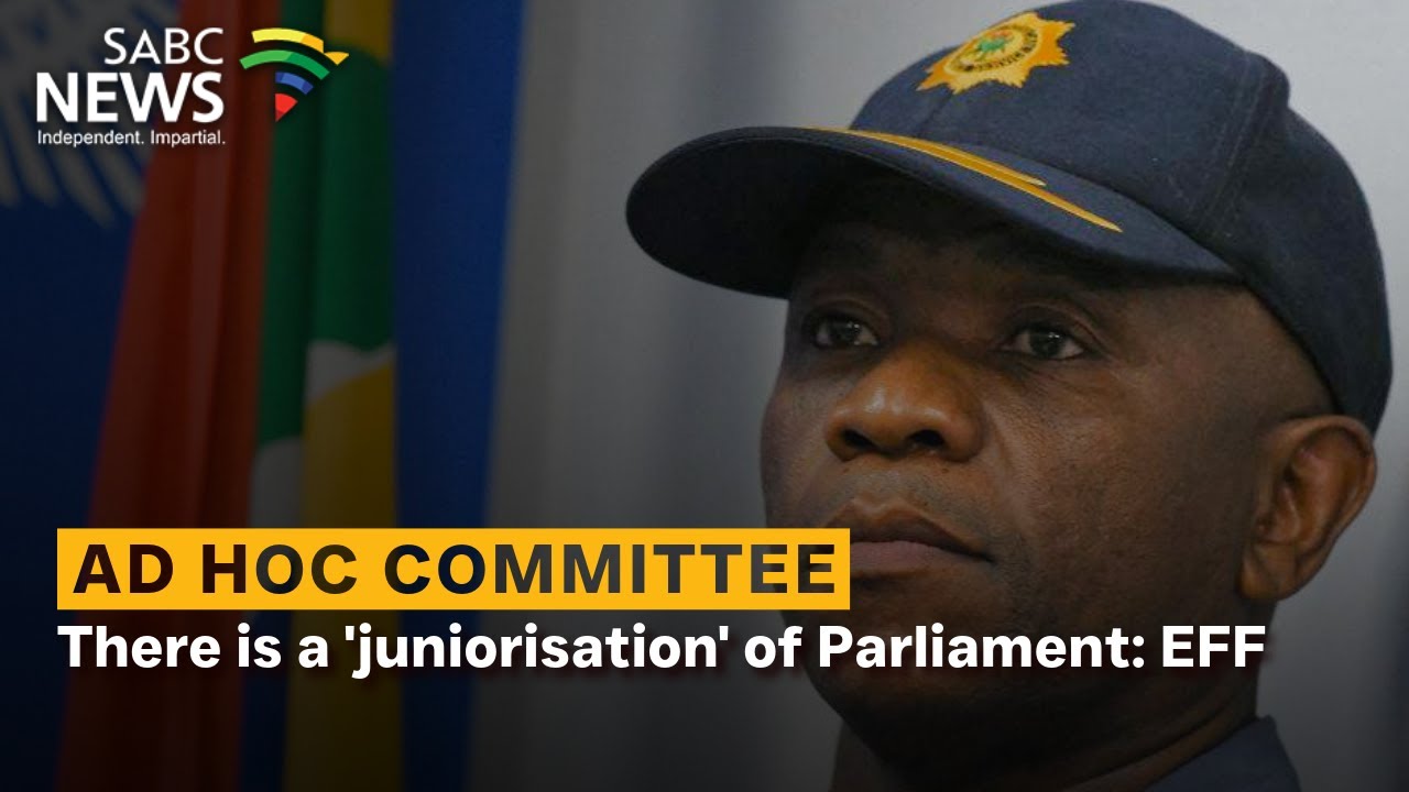 Mkhwanazi Allegations | There is a 'juniorisation' of Parliament: EFF