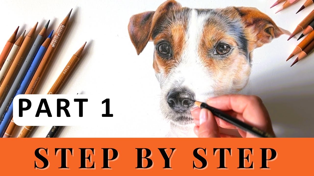 PART 1 - How to Draw a Jack Russell Dog - Real Time - Step by Step - Colour Pencils for Beginners.