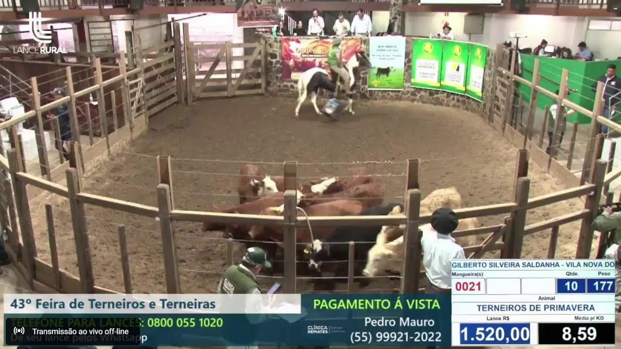 43 Feiras de Terneiros e Terneiras
