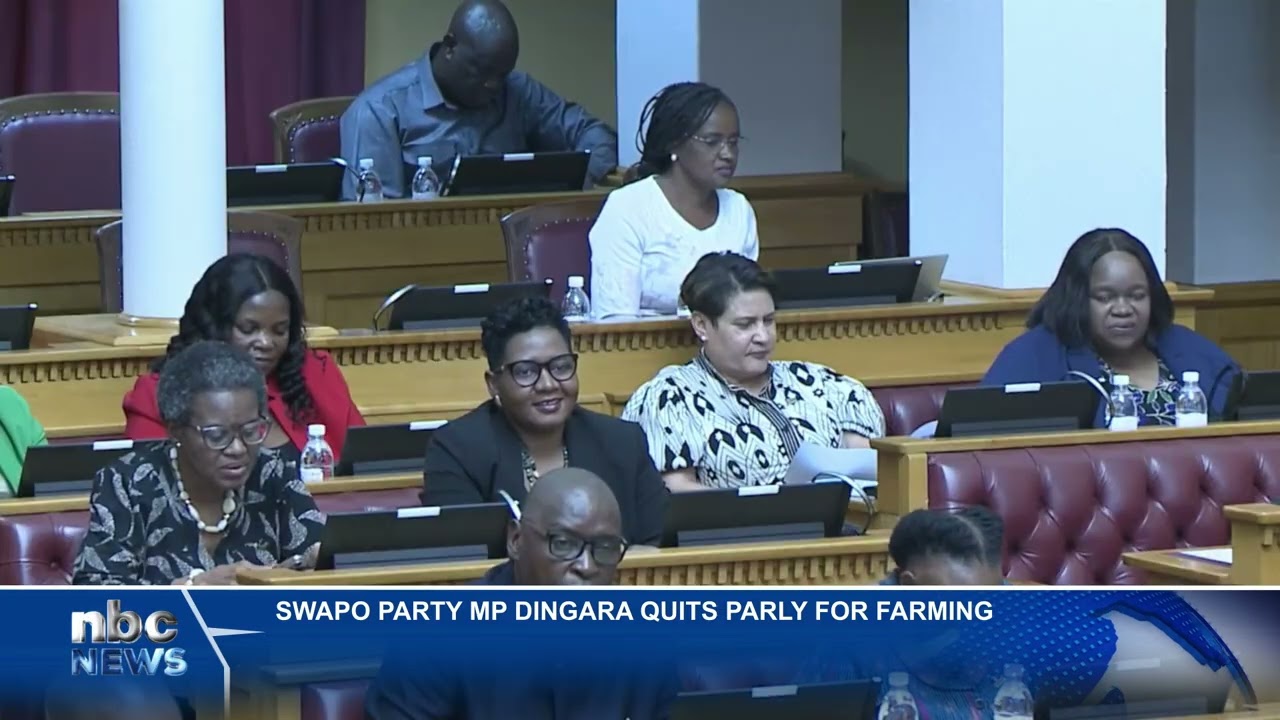 Elifas Dingara says nation-building transcends politics - nbc
