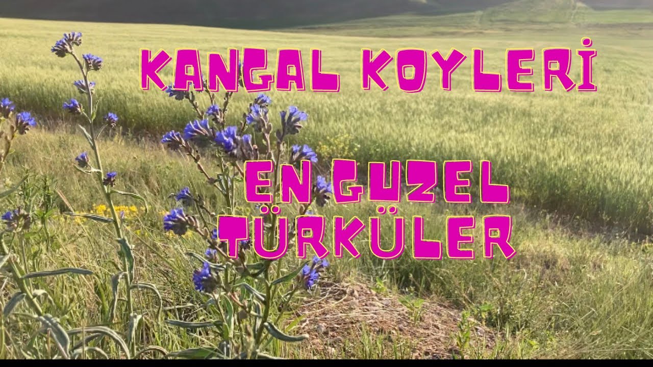 Kanğal köyleri Türk’ü Eşliğinde doğa tabiat manzarası #türküler #doğa
