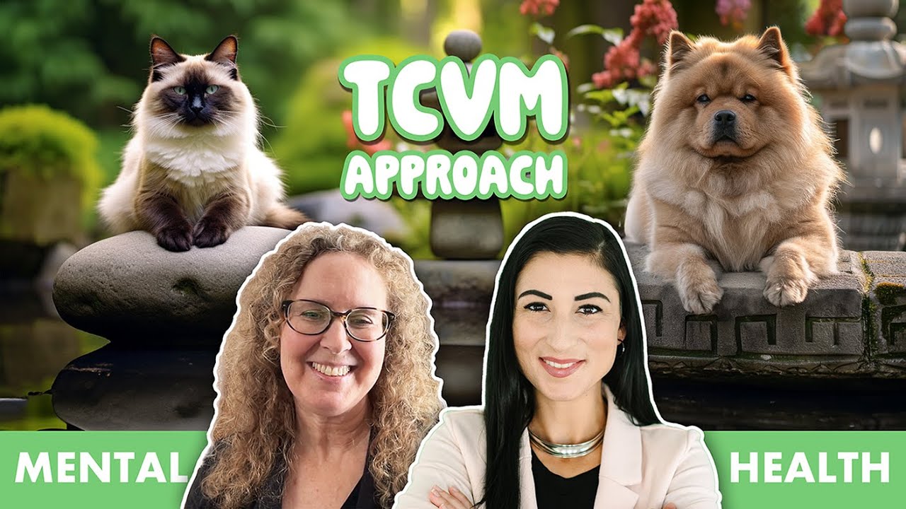Как TCVM может улучшить общее самочувствие вашего питомца