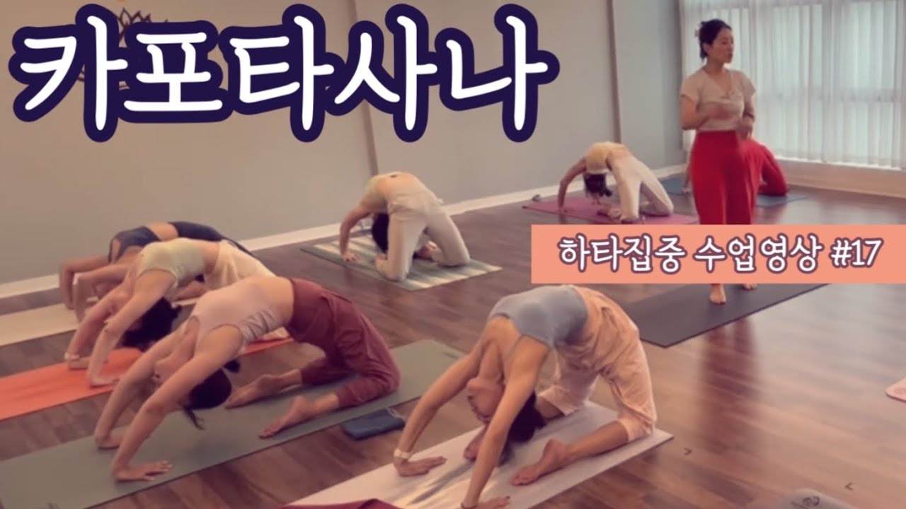 [엔젤요가] 하타집중 수련영상 #17 | 카포타사나