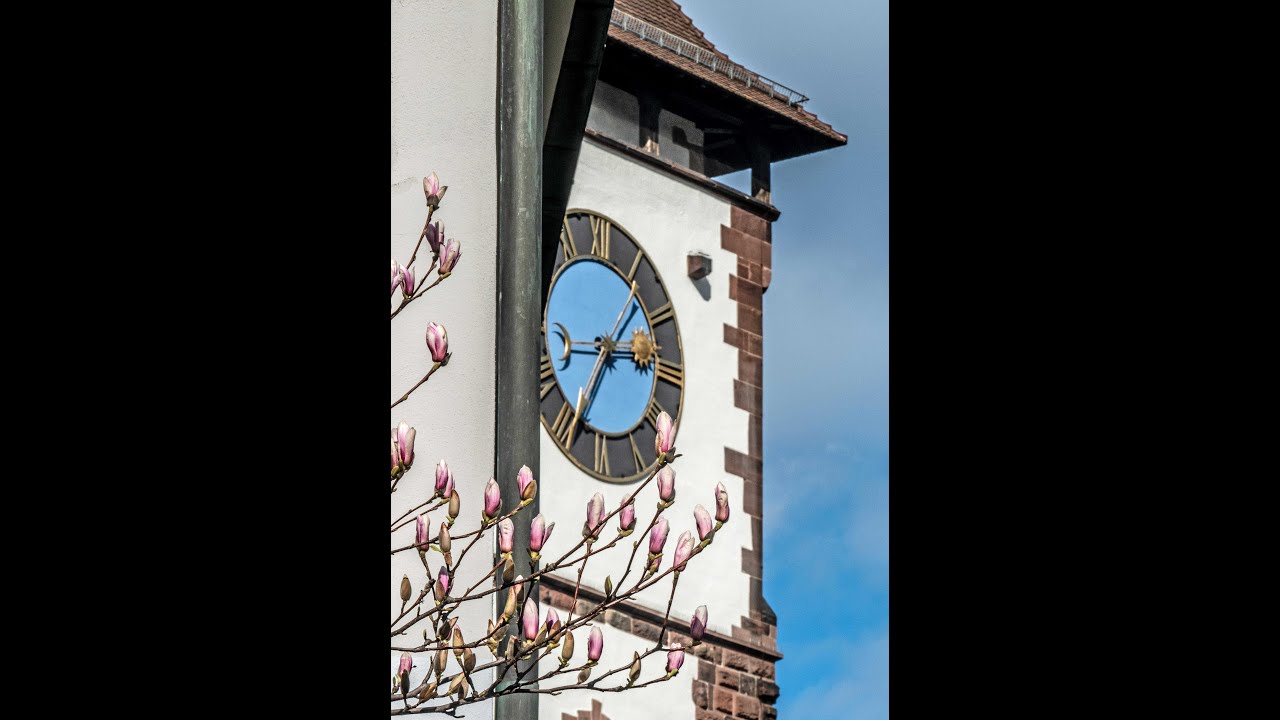 Zeit für Frühling bei Freiburg
