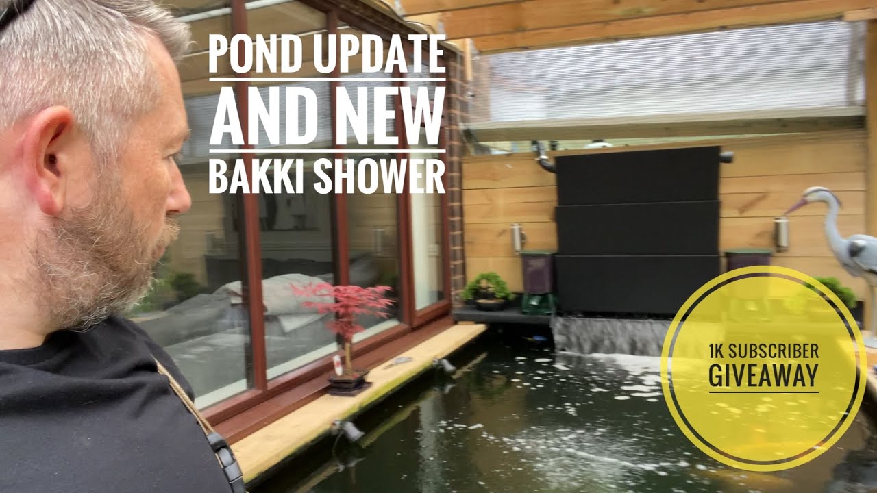New Bakki shower from JS koi and an update on the pond