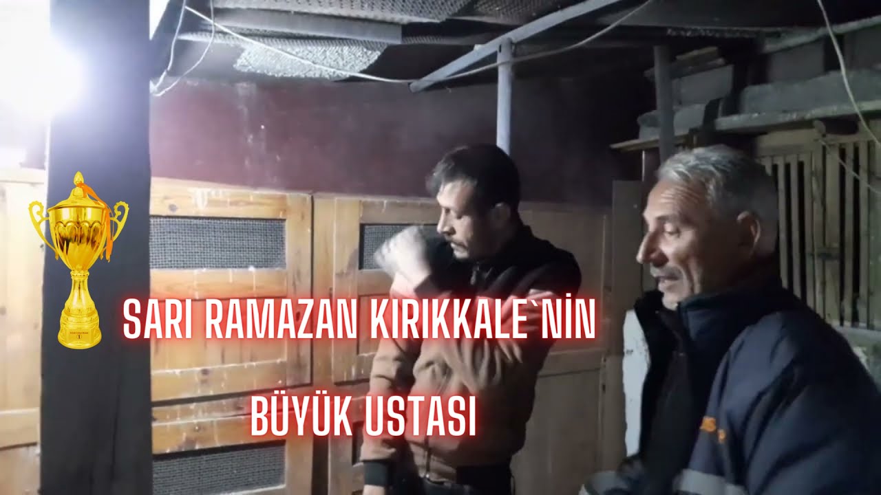 Sarı Ramazan Kırıkkale`nin Girilmez Denilen Kümesindeyiz Bu Kuşlar Çok Zor Ele Geçer