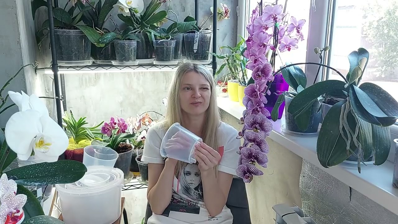 Який горщик кращій для орхідей?