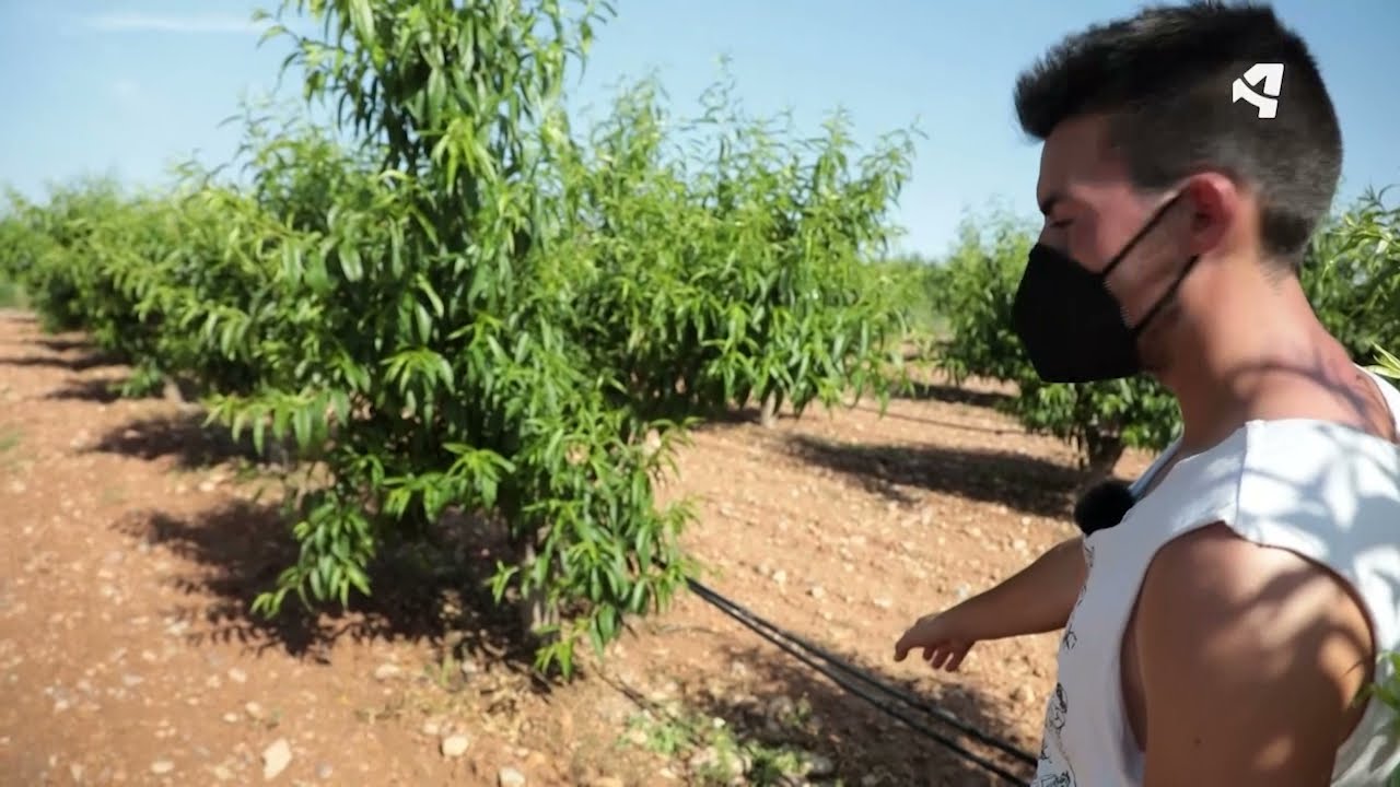 Campo mío y tuyo