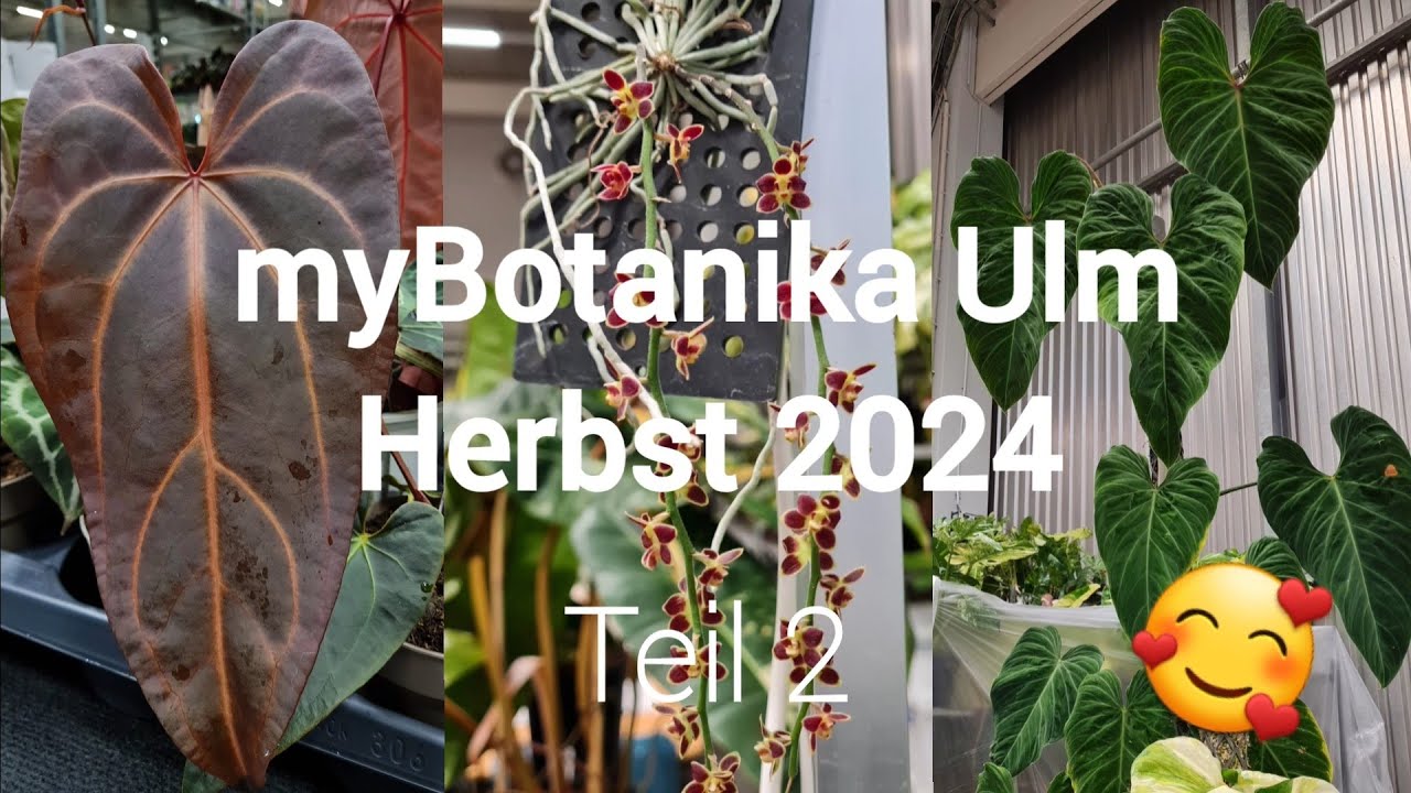 myBotanika Ulm 🌱 | Herbst 2024 🍁 | Teil 2 💚