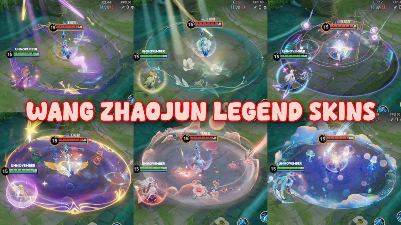 WANG ZHAOJUN ALL LEGEND SKINS | HONOR OF KINGS