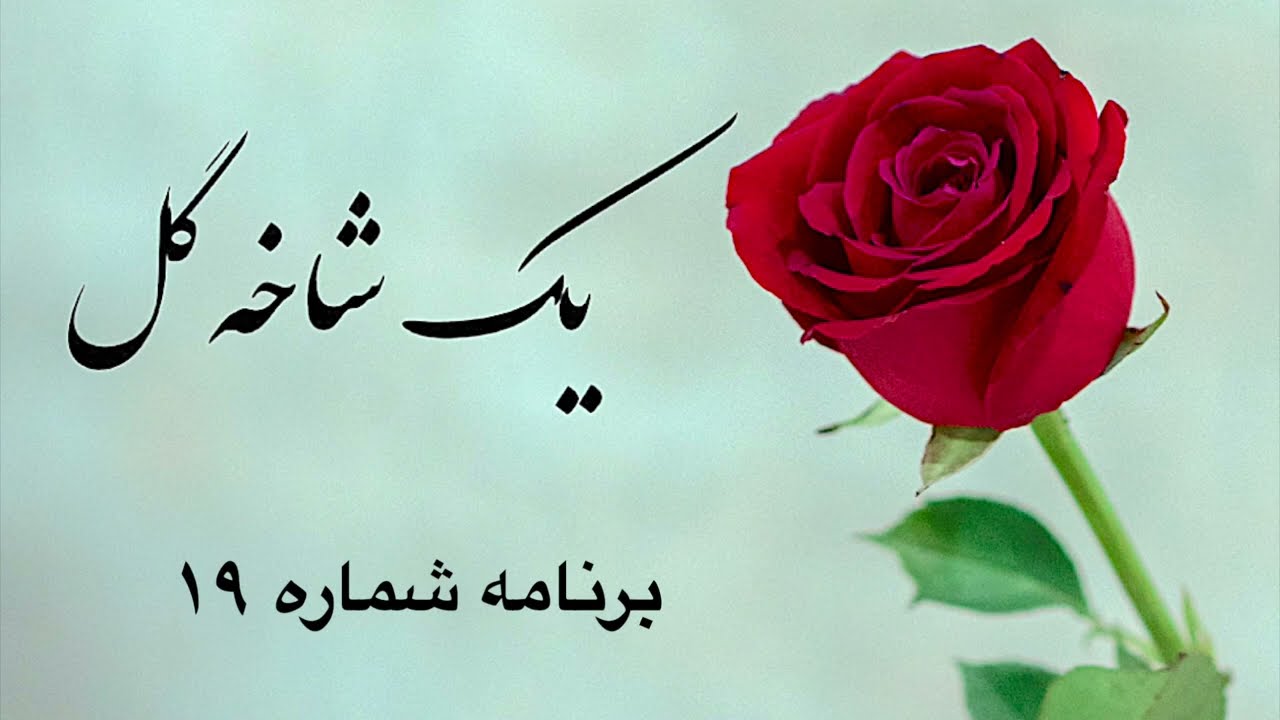 یک شاخه گل برنامه شماره ۱۹|Sazo Avaz