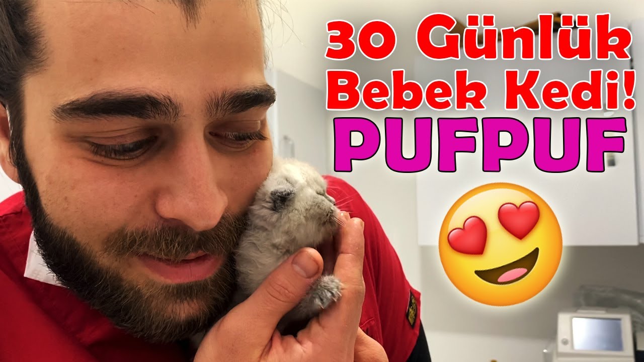 ПОТЕРЯЛА ЕЕ МАМУ! 😔 Симпатичный котенок пары недель! #TheVet