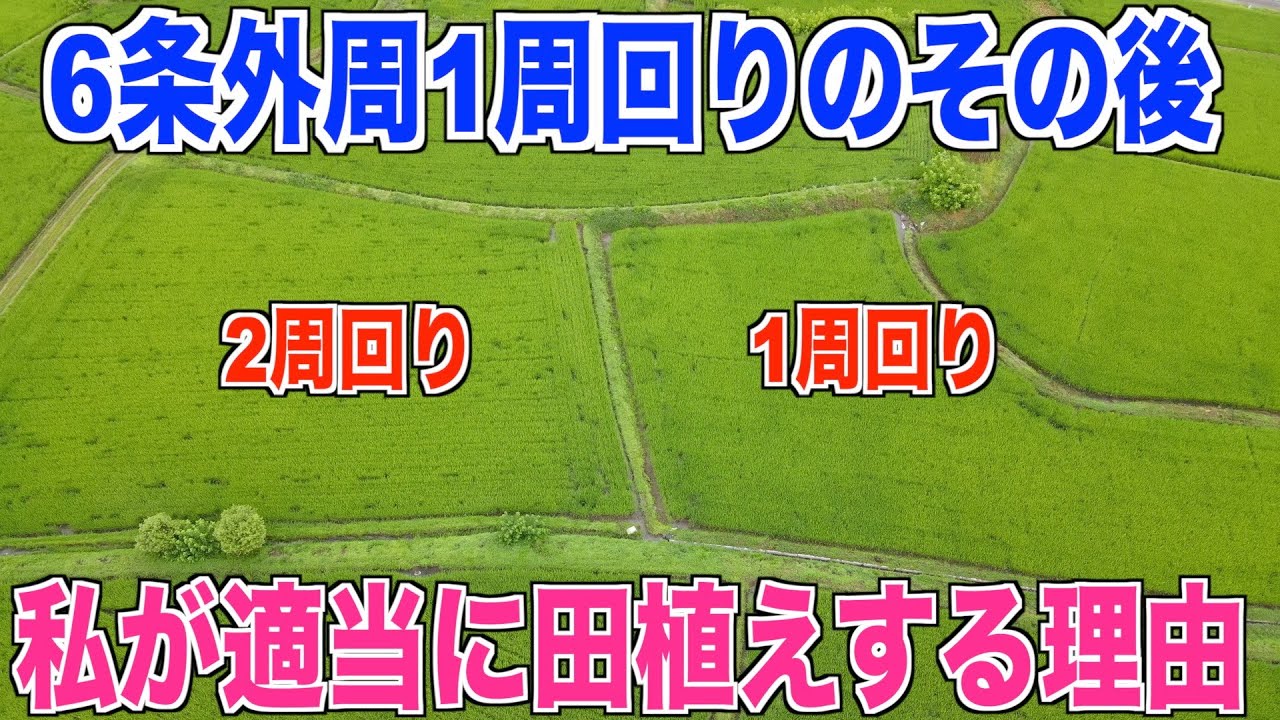 【田植え後の確認】6条外周1周回りで適当に田植えする理由 30代米作り奮闘記#99
