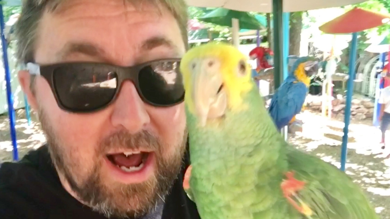 TDW 1768 - Welcome To Paradise