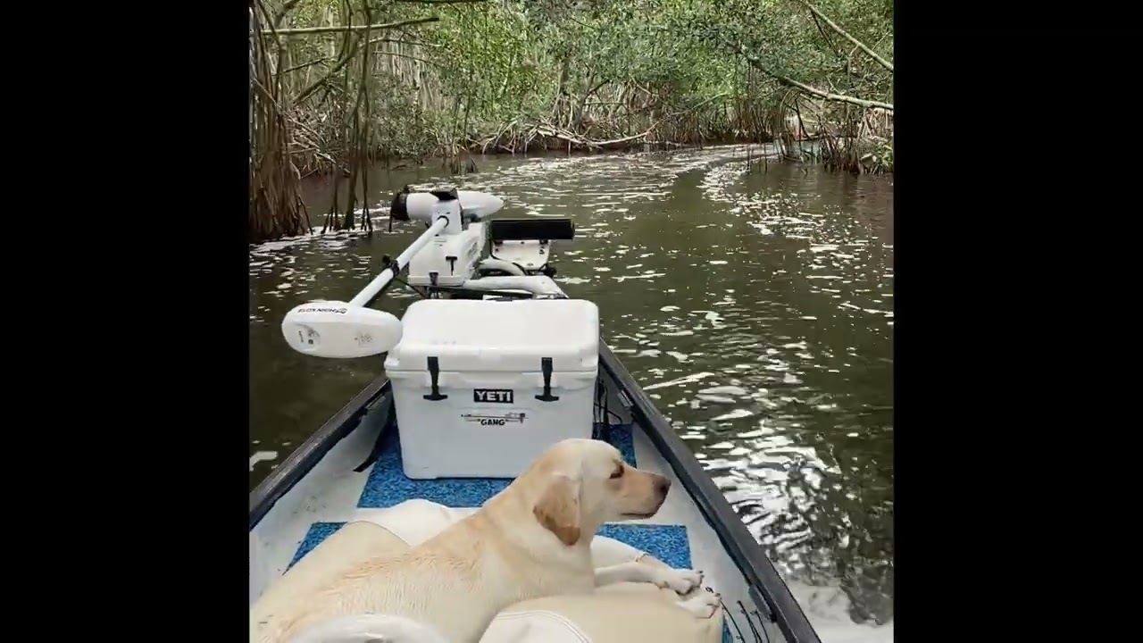 Gheenoe camping New Turkey Key 4/2022 Everglades National Park