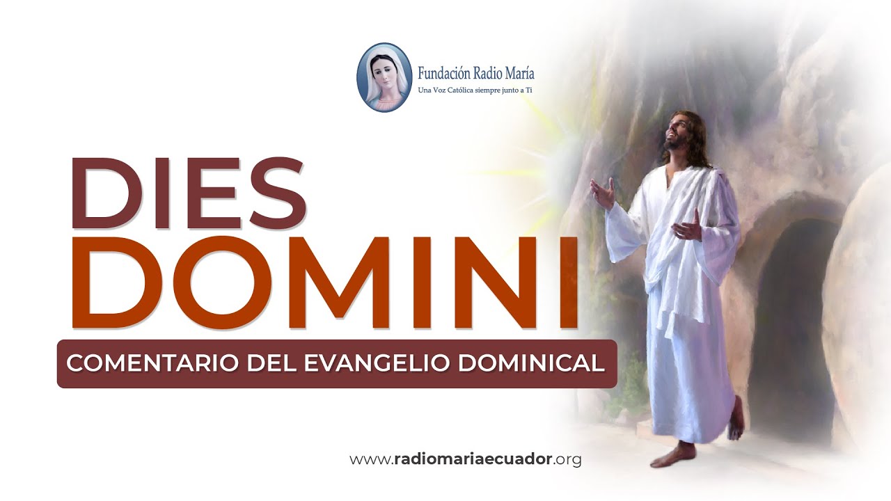 Reflexiones del Evangelio: 8 de febrero de 2026 - Inspiración diaria sobre las escrituras