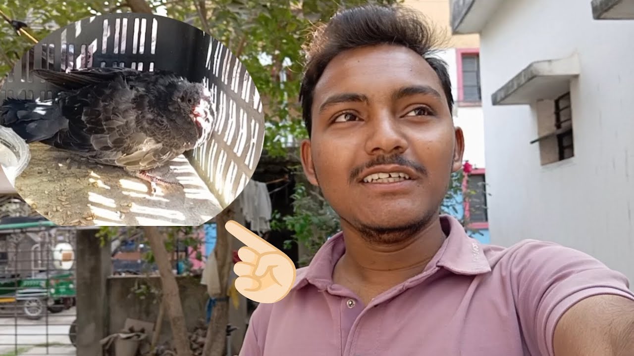 Aj mujhe kya mila dekho! 