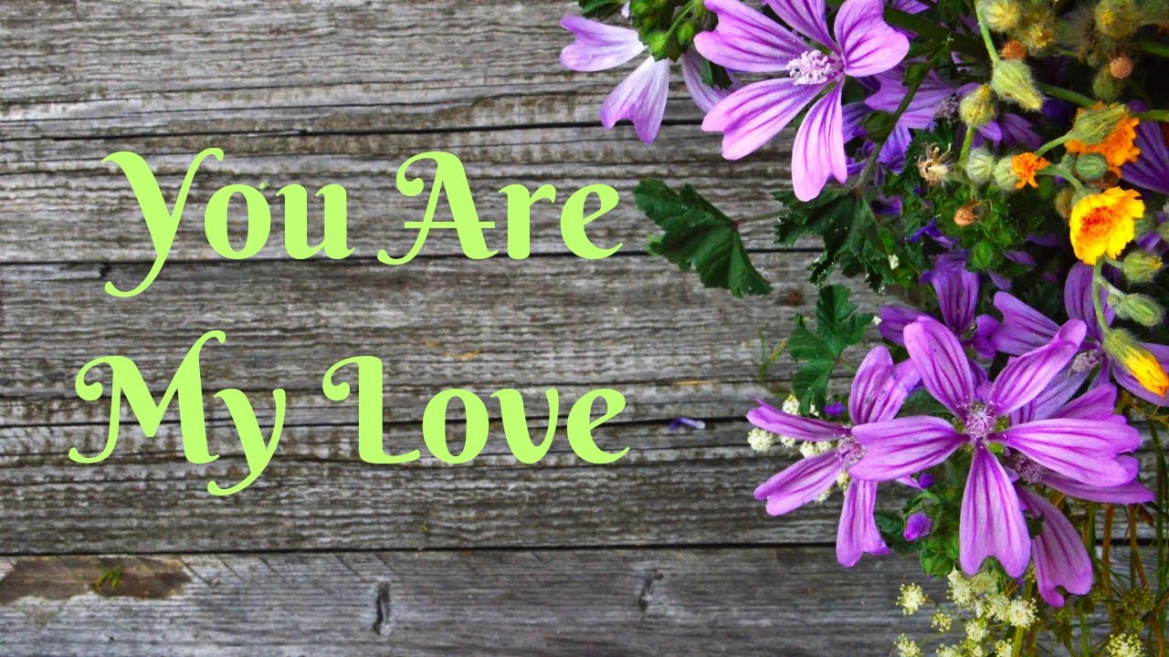 💖💖Sweetheart You Are My Love 💖💖