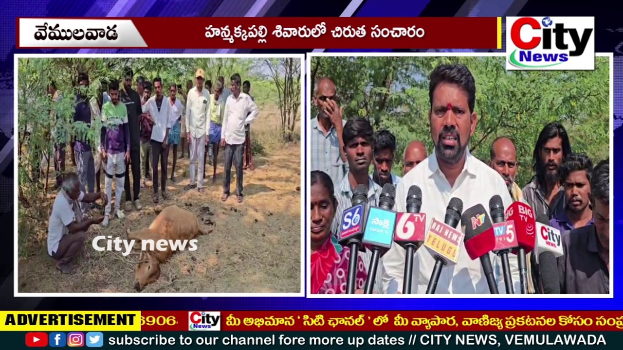 హన్మక్కపల్లి శివారులో చిరుత సంచారం || City News, Vemulawada