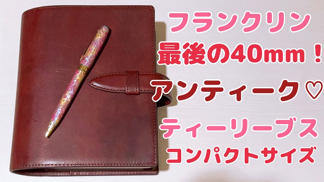 即完売！フランクリンプランナー 最後の40mm！ティーリーブス コンパクトサイズ システム手帳 Franklin Covey