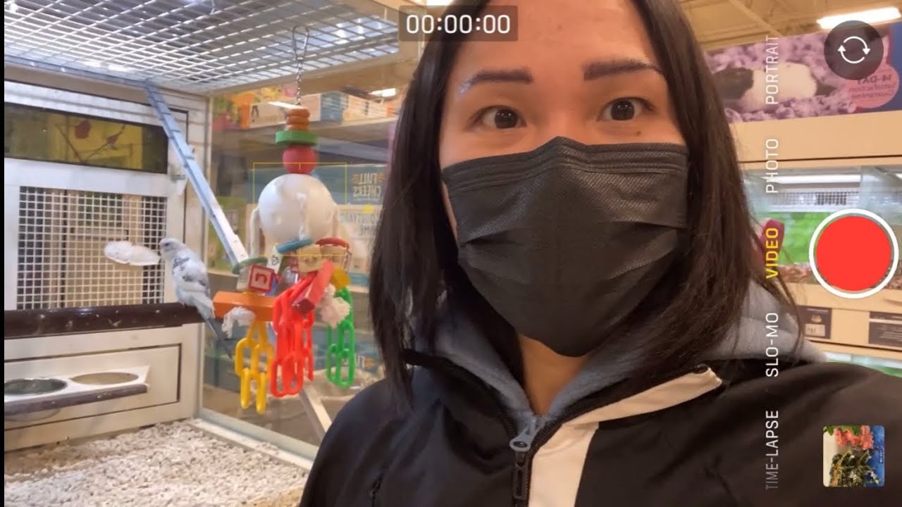DannyVlog Ep60 - There Are SO MANY Animals & Reptiles Here!!!