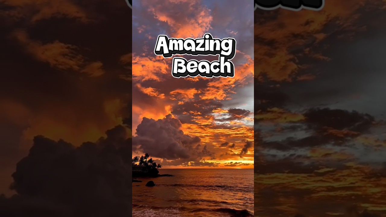 Amazing Beach 🏝️🌅🏖️️
