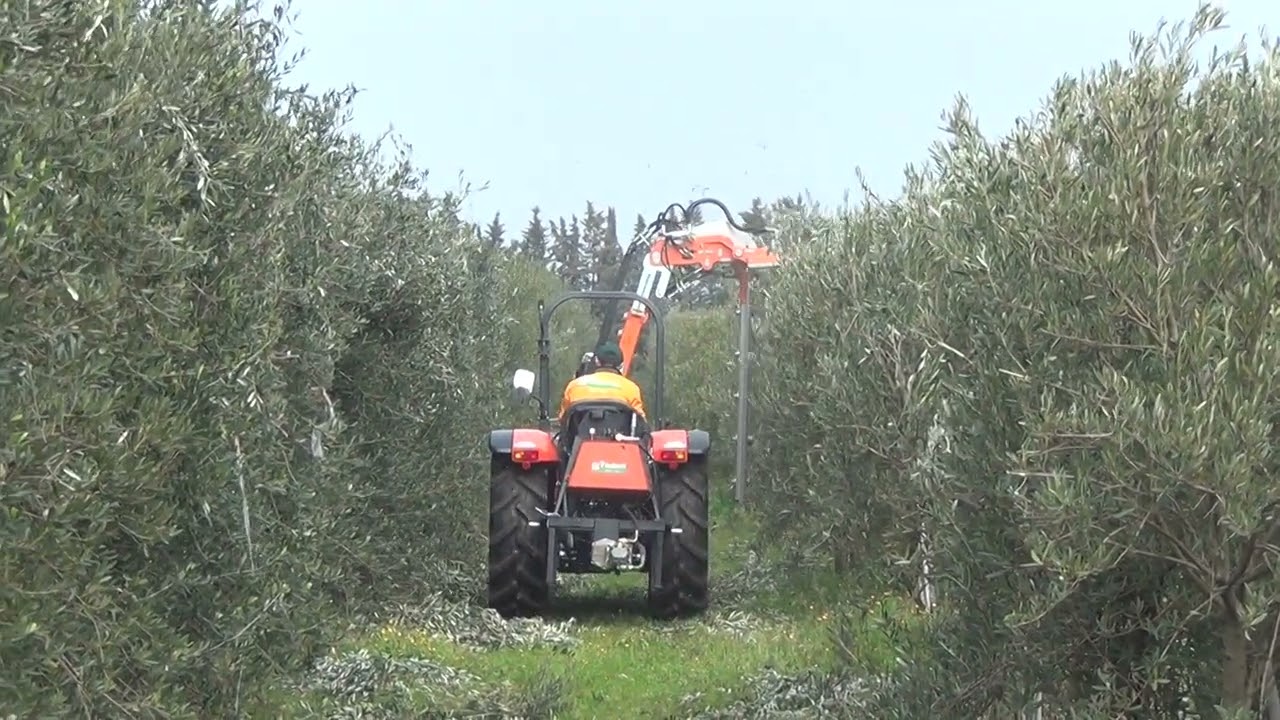 Rinieri ORP orchards pruner with disc saws olive