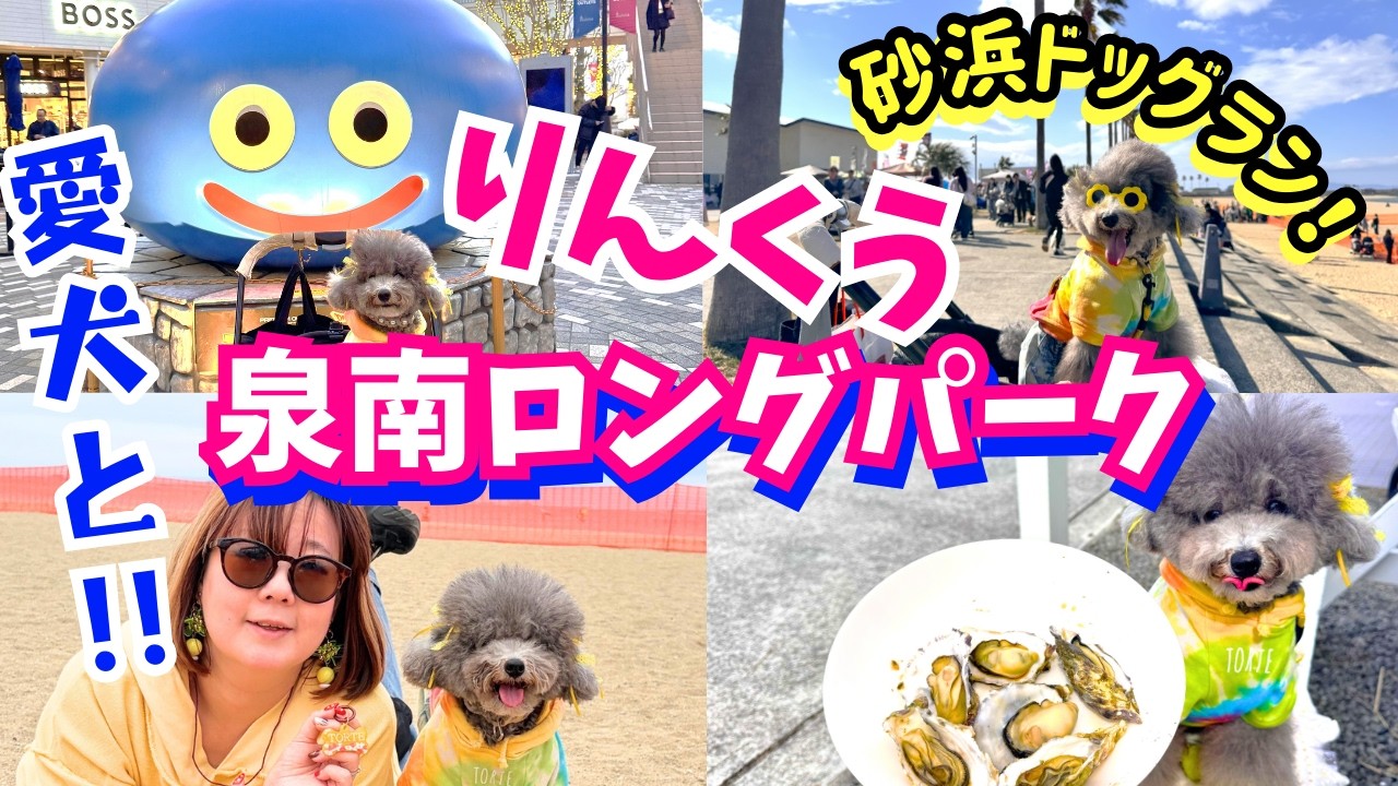 【犬とお出かけ】牡蠣まつり！砂浜ドッグラン！【りんくうプレミアムアウトレット・あつまれ！わんダーランド】大阪泉南ロングパーク