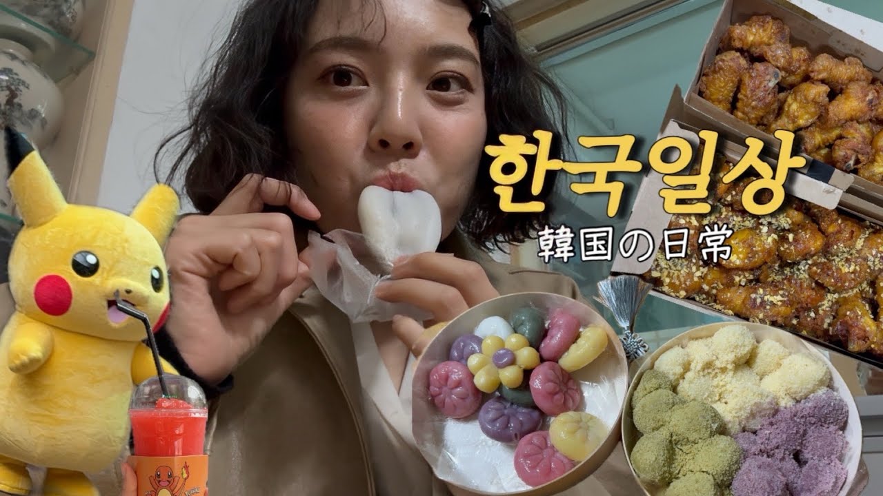 동생 상견례 하는 날! 신혼집도 구경하고 롯데월드가서 피카츄 보고 온 한국일상🇰🇷