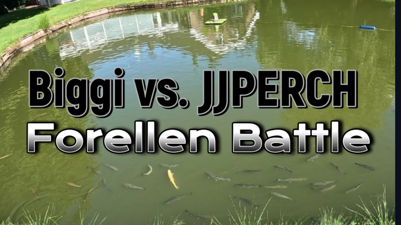 Gummiköder aktiv & passiv | Biggis & JJs Forellen Duell #fishing #angeln #trout #forelle #outdoors