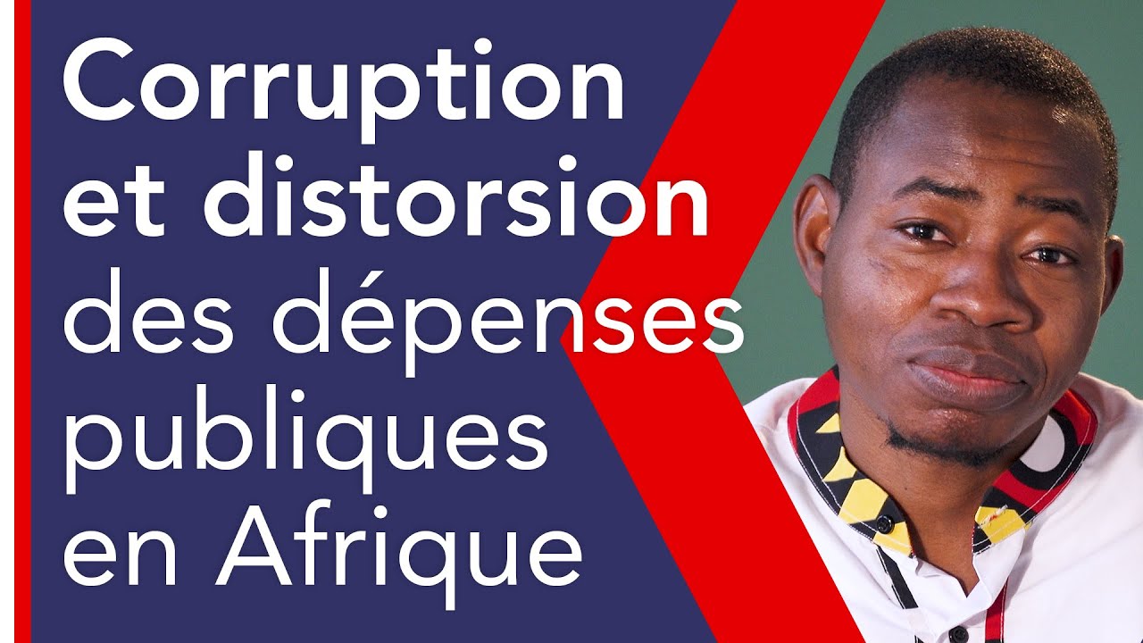 Corruption et distorsion des dépenses publiques en Afrique | Harouna Sedgo
