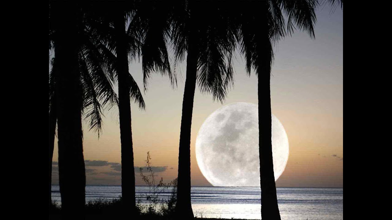 Beethoven Moonlight Sonata by Julian Gargiulo