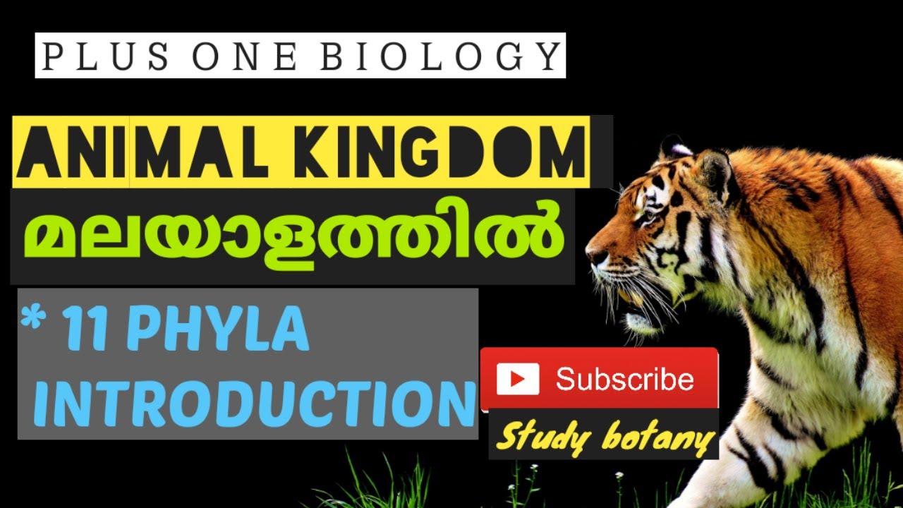 ANIMAL KINGDOM PLUS ONE BIOLOGY CHAPTER-4 MALAYALATHIL PART-1 NCERT, SCERT STUDY BOTANY CBSE