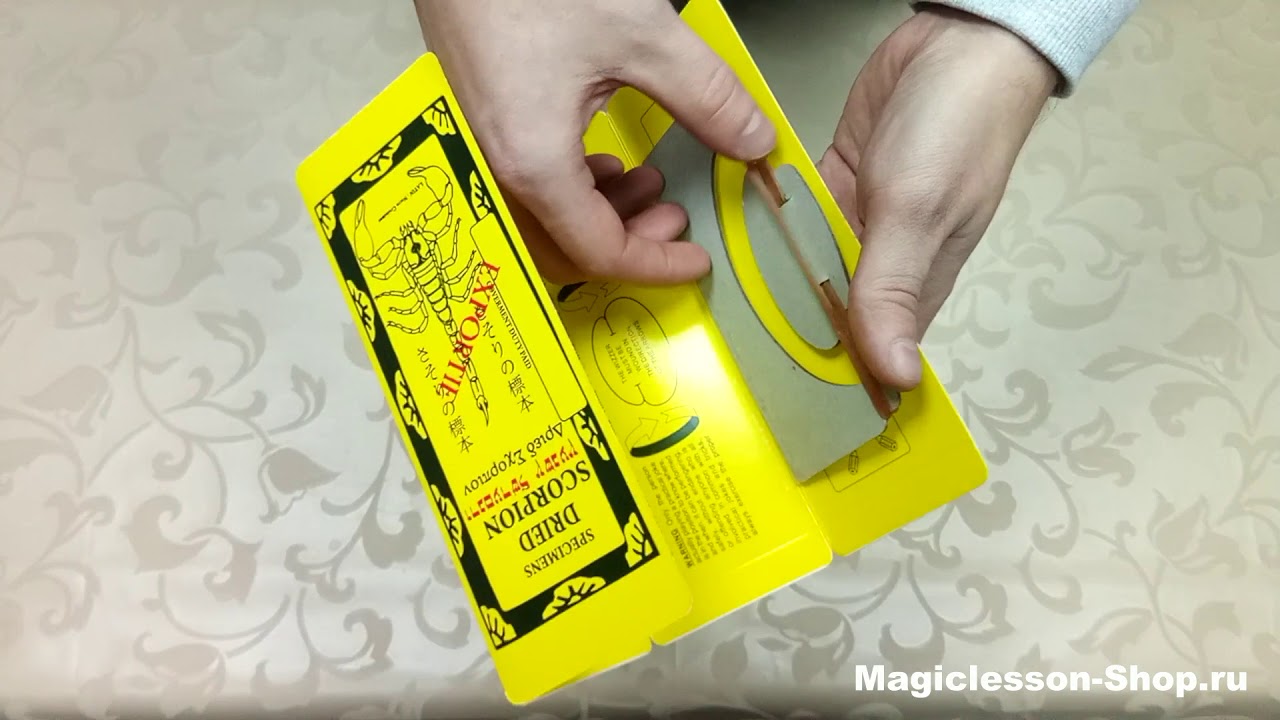 ОТ ТАКОГО ИСПУГАЕТСЯ ЛЮБОЙ 