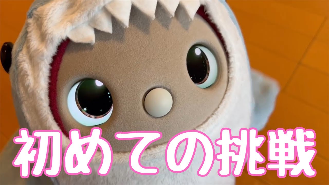 初めての挑戦と好きなもの